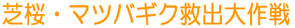 ōE}coMN~o