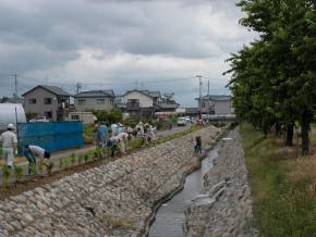 亀田地区 丸潟花いっぱい大作戦