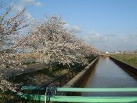 ���z�r���H�̍�����