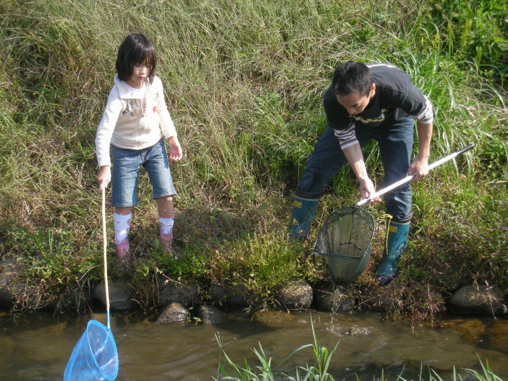 10月18日 生き物調査